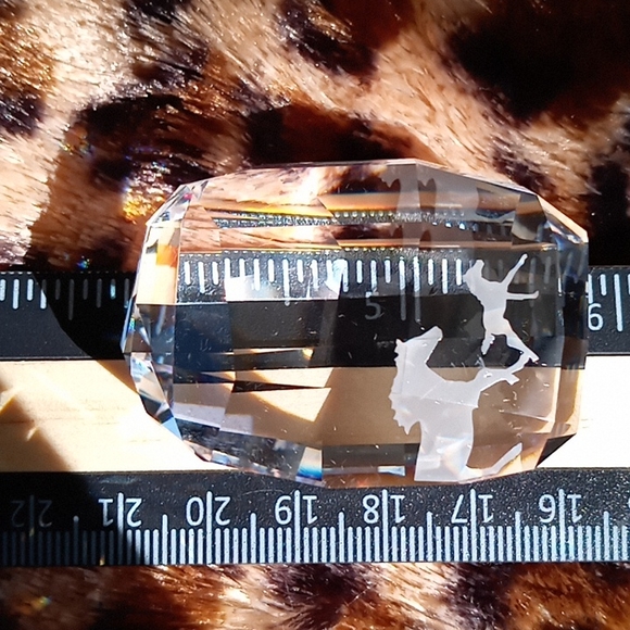 SWAROVSKI SCS MEMBERSHIP CRYSTAL - Picture 5 of 8